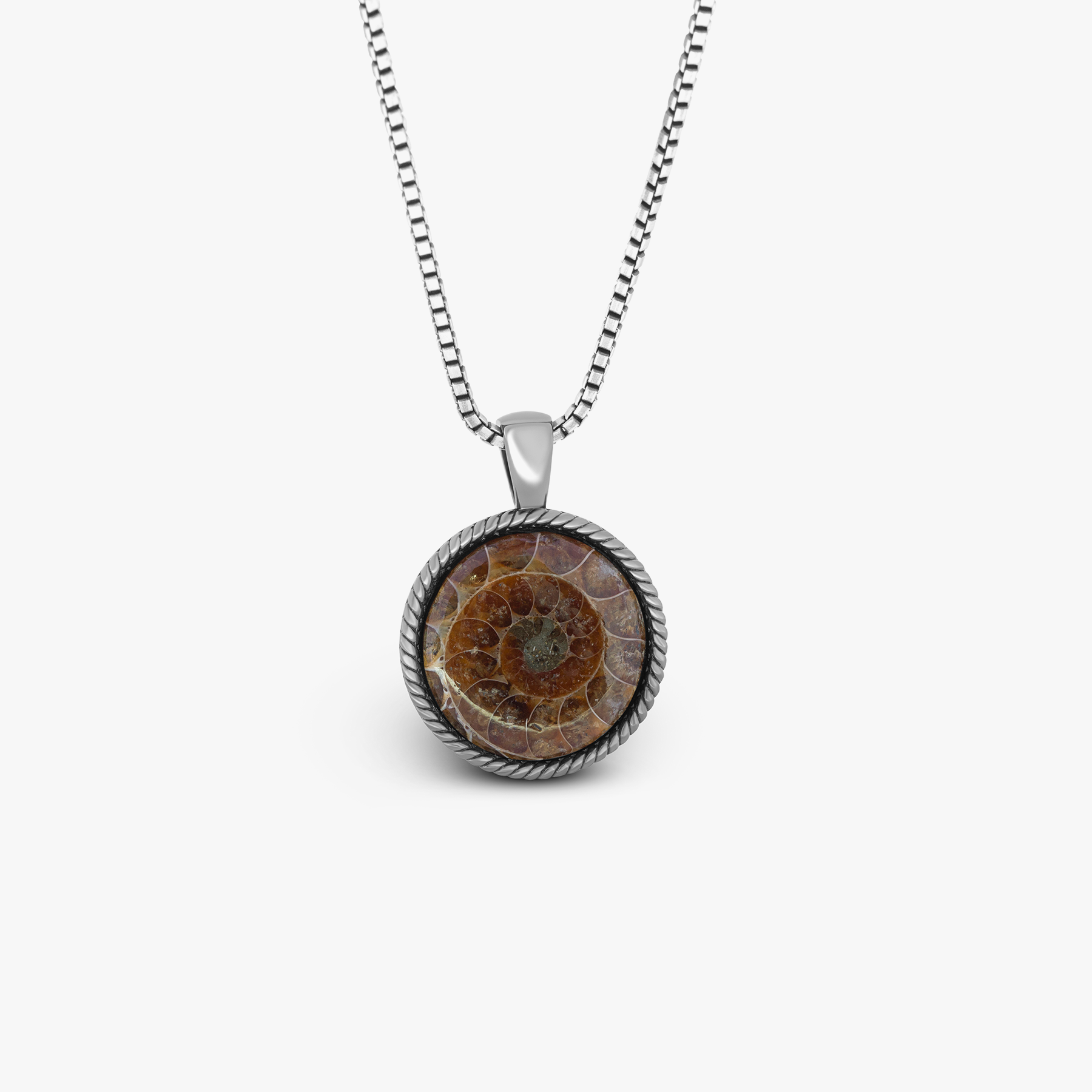 Ammonite popular necklace