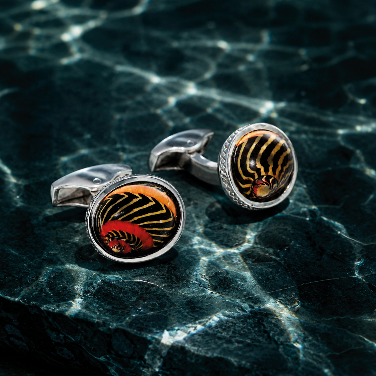 Neritina Shell Sterling Silver Cufflinks | Limited Edition