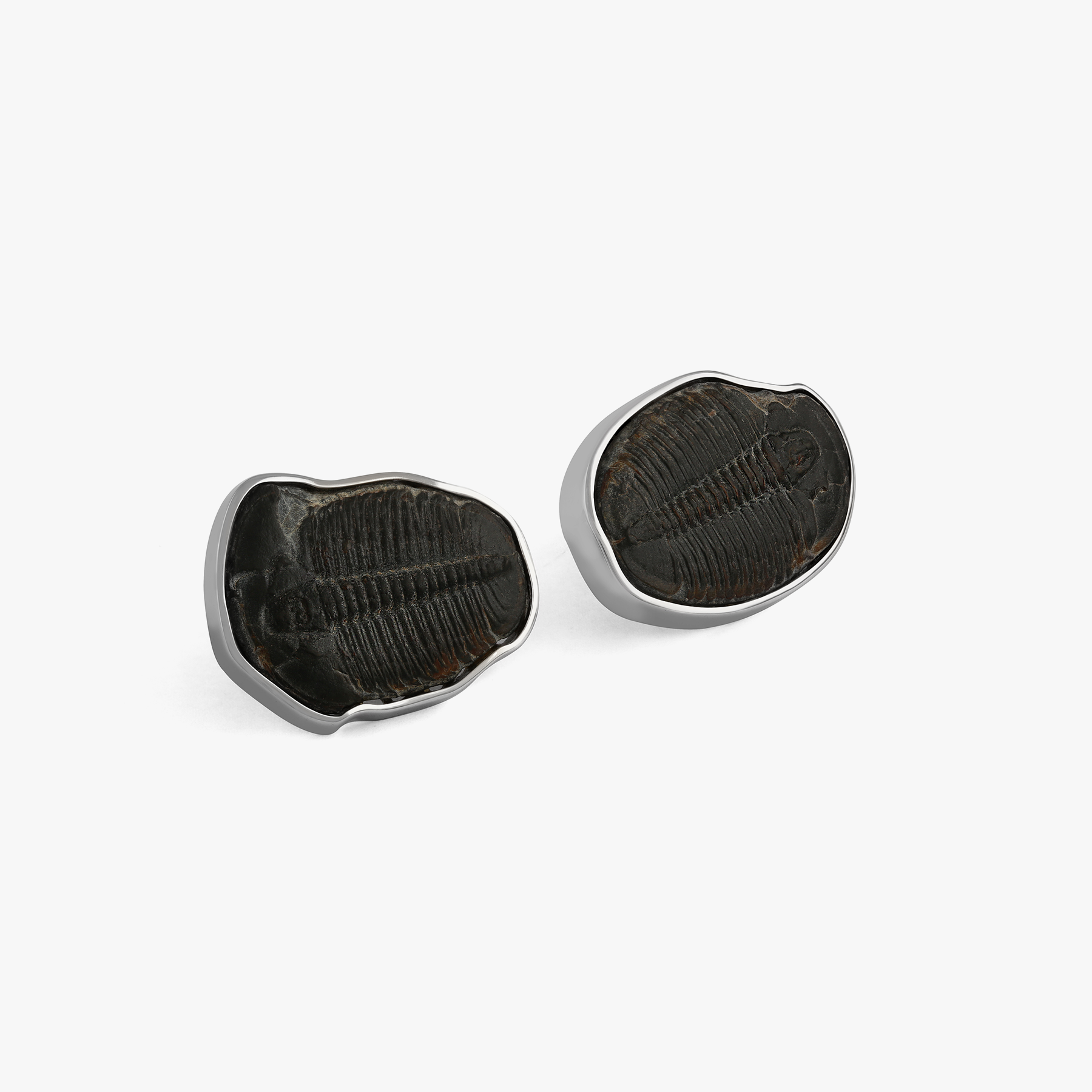Trilobite 18K White Gold Cufflinks