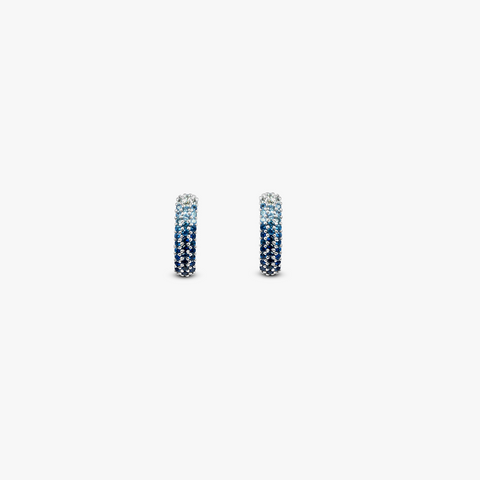 Blue Sapphire Precious Earrings- 9K White Gold                 